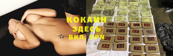 PSILOCYBIN Богородск