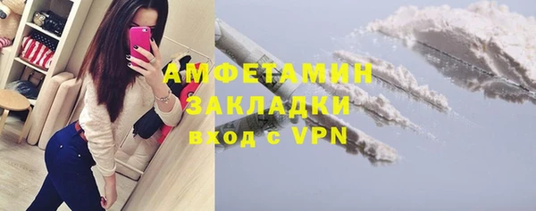 PSILOCYBIN Бородино