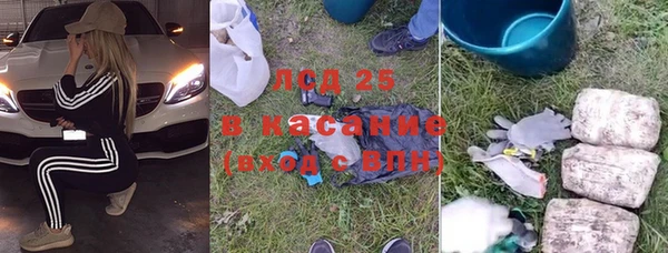 ГАЛЛЮЦИНОГЕННЫЕ ГРИБЫ Богородицк