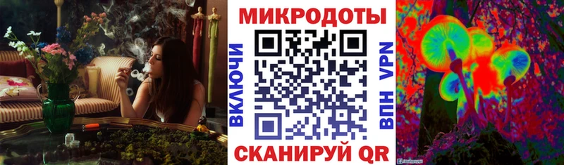 дарнет шоп  OMG вход  Галлюциногенные грибы Psilocybe  нарко площадка как зайти  Качканар 